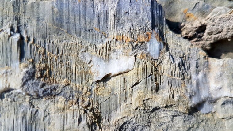 Harnische im Kalksteinbruch Burgwenden