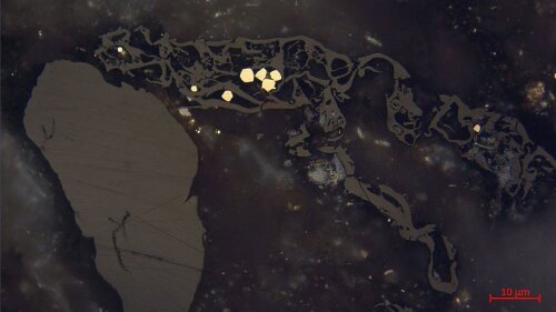 Mikroskopaufnahme dispers verteilter Vitrinite in einem Rotliegend-Sandstein Thüringens unter Auflicht und Ölimmersion. Links Collinit (homogen, strukturlos), rechts Telinit (mit deutlichen Zellstrukturen). Blassgelbe Körner in der Bildmitte stellen framboidalen Pyrit dar.