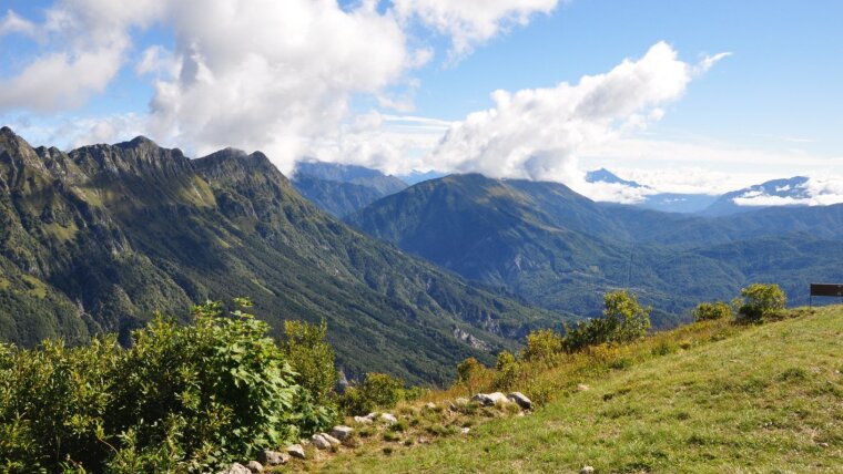 Thrust fault N of Mt Cuarnan, Friuli, Italy