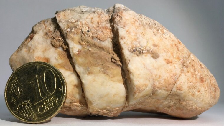 Zerschertes Kalkgeröll aus einem miozänen Konglomerat, Österreich
